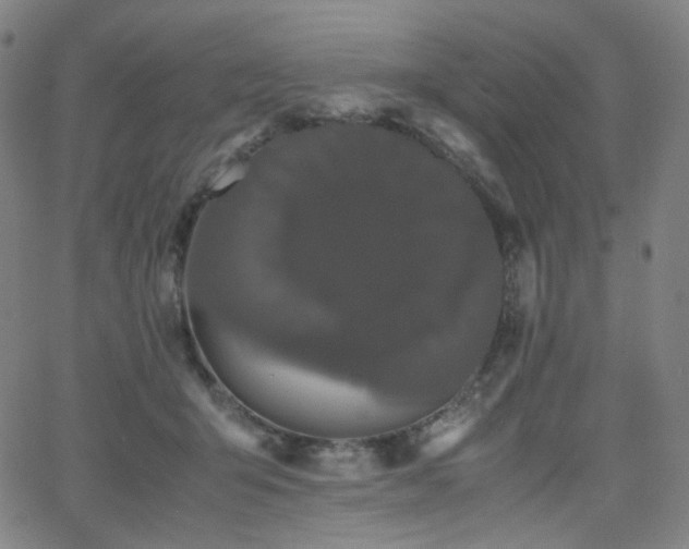 X0000063440415200601201200
