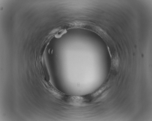 X0000063440429200601201159
