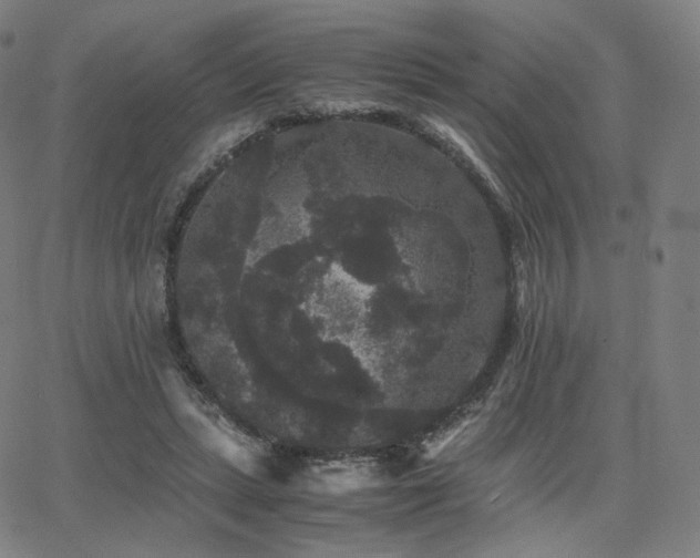 X0000063440447200601201159