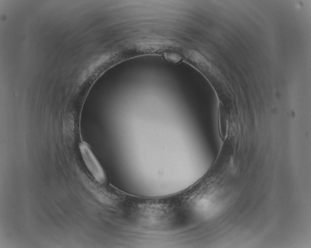 X0000063440448200601201159