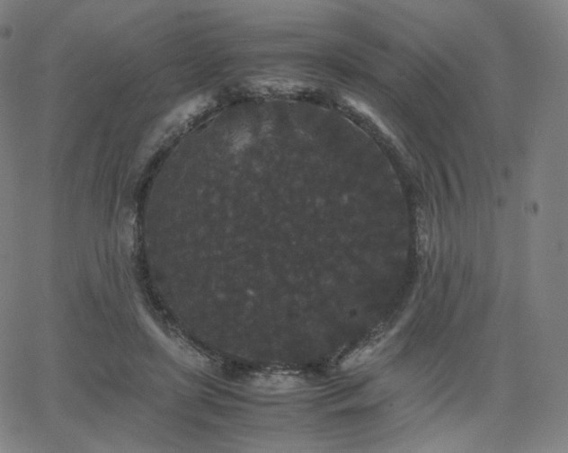 X0000063440451200601201159