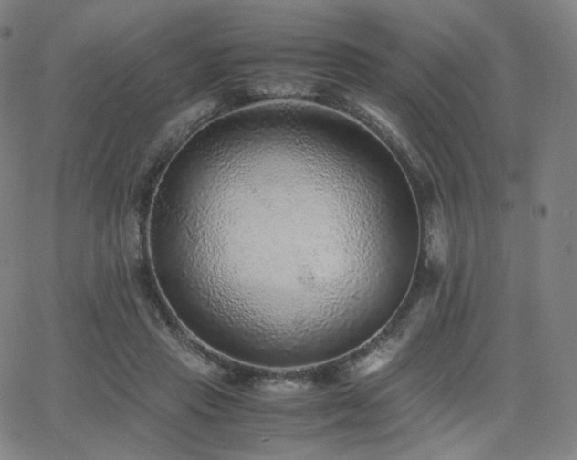X0000063440453200601201159