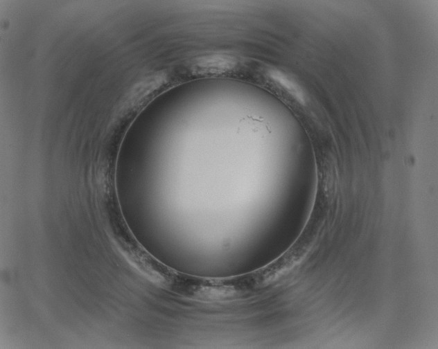 X0000063440455200601201159
