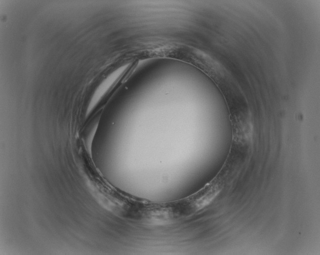 X0000063440456200601201159