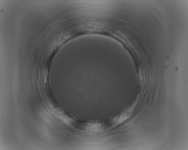 X0000063440458200601201159
