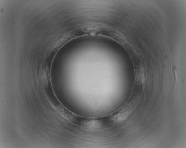 X0000063440460200601201159
