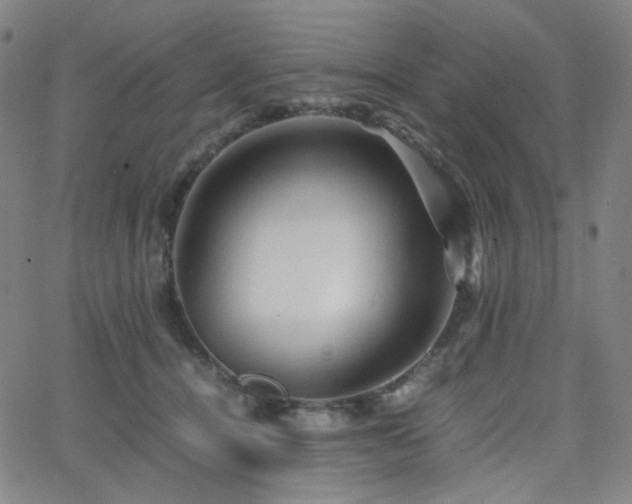 X0000063440464200601201159