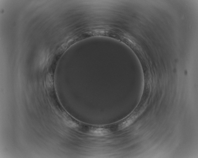 X0000063440467200601201159