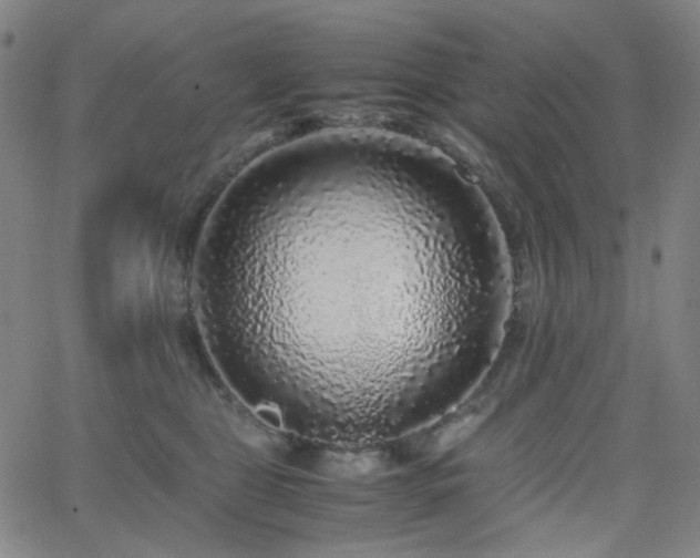 X0000063440469200601201159