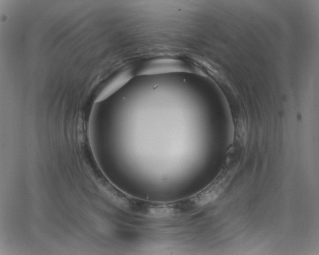 X0000063440470200601201159
