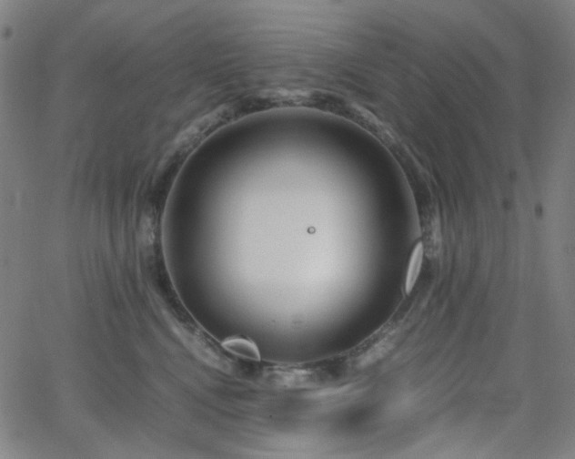 X0000063440472200601201159
