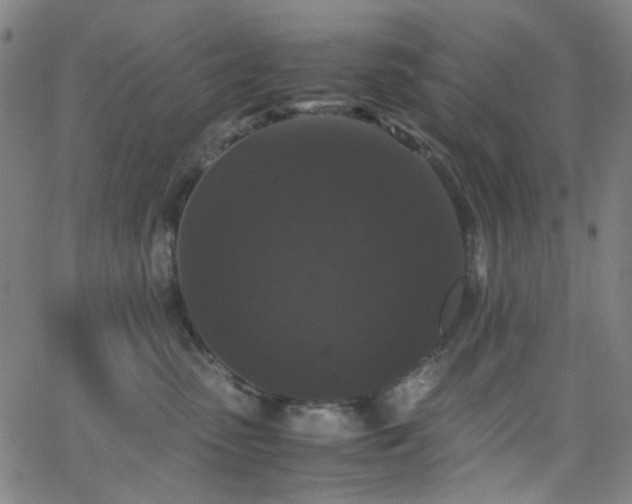 X0000063440475200601201159