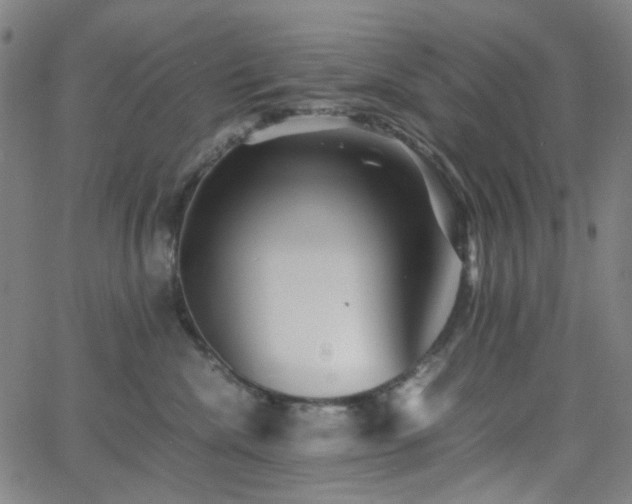 X0000063440476200601201159