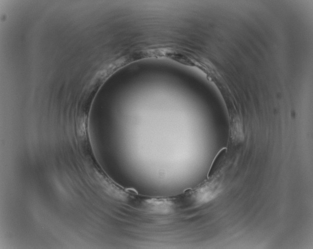 X0000063440477200601201159