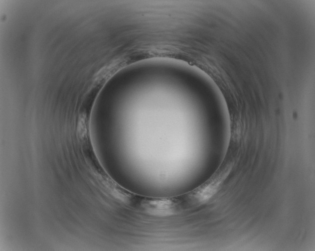 X0000063440478200601201159