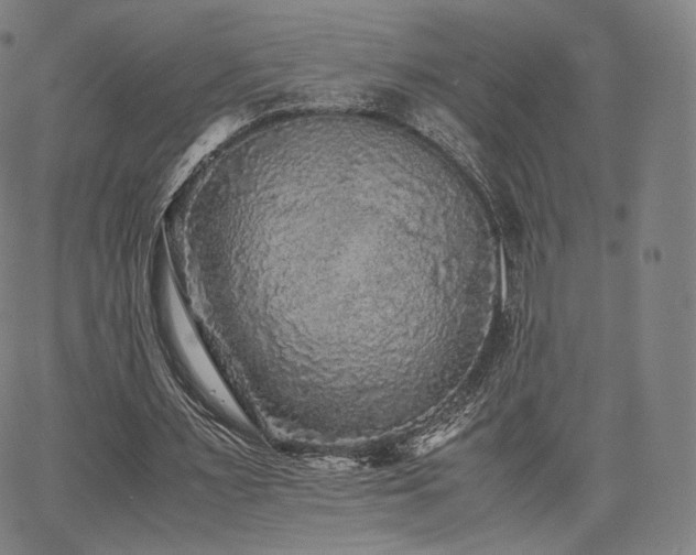 X0000063440483200601201159