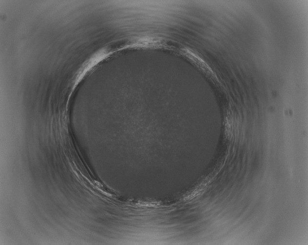 X0000063440484200601201159