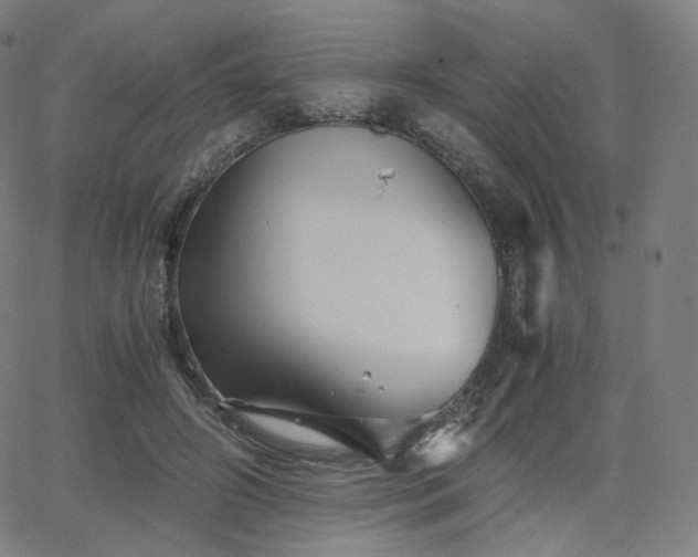 X0000063440498200601201158