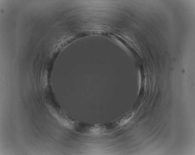 X0000063440504200601201158