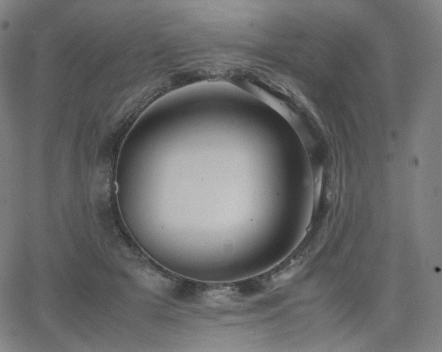 X0000063440505200601201158