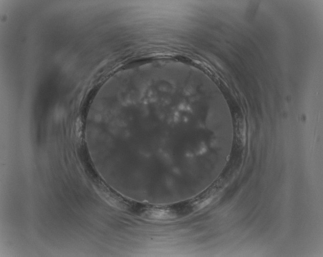 X0000063440507200601201158