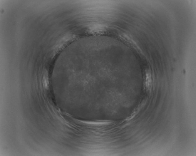 X0000063440508200601201158