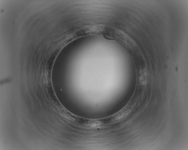 X0000063440514200601201158