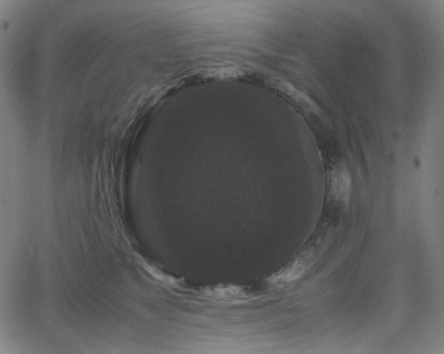 X0000063440517200601201158