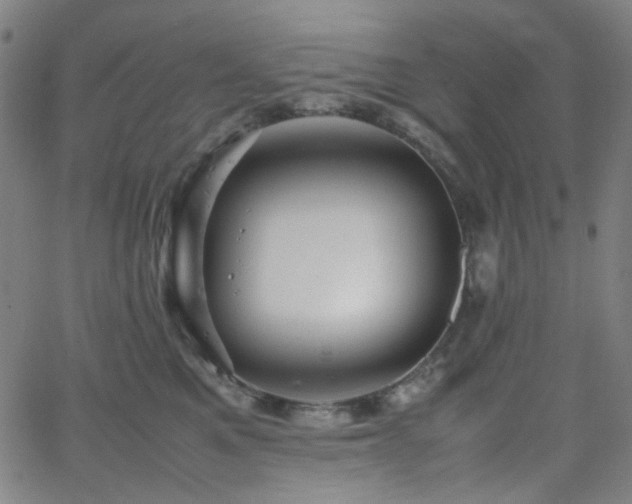 X0000063440521200601201158