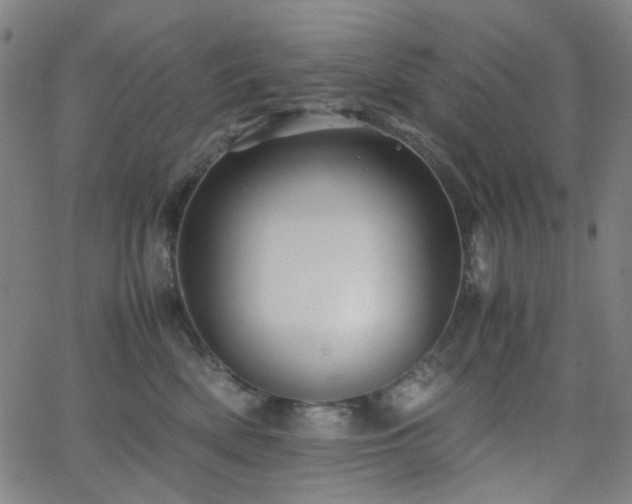 X0000063440522200601201158