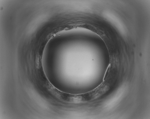 X0000063440525200601201158