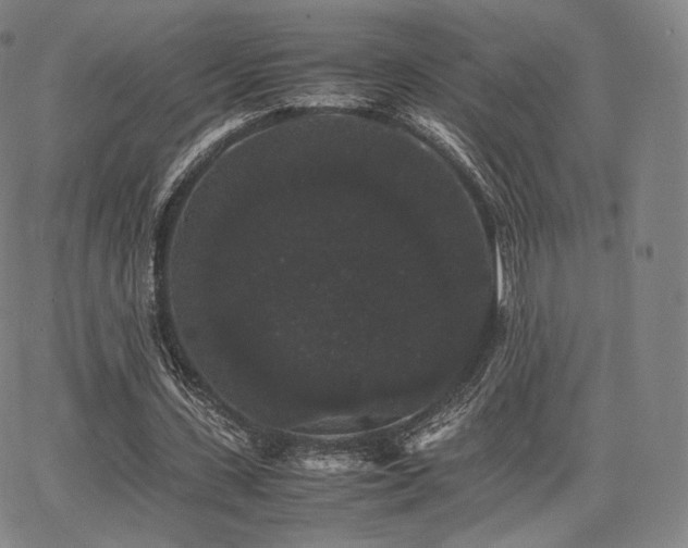 X0000063440531200601201157