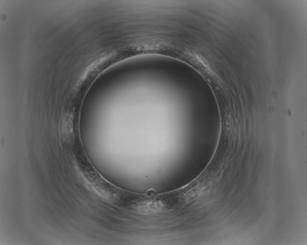 X0000063440543200601201157