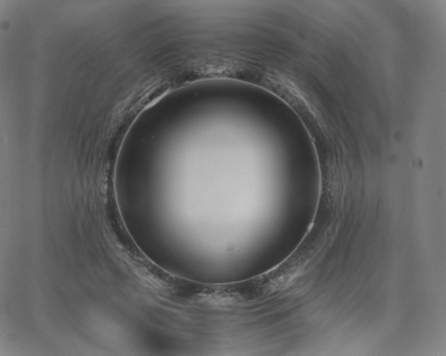 X0000063440545200601201157