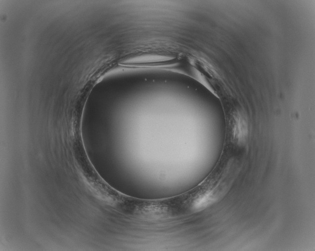 X0000063440546200601201157