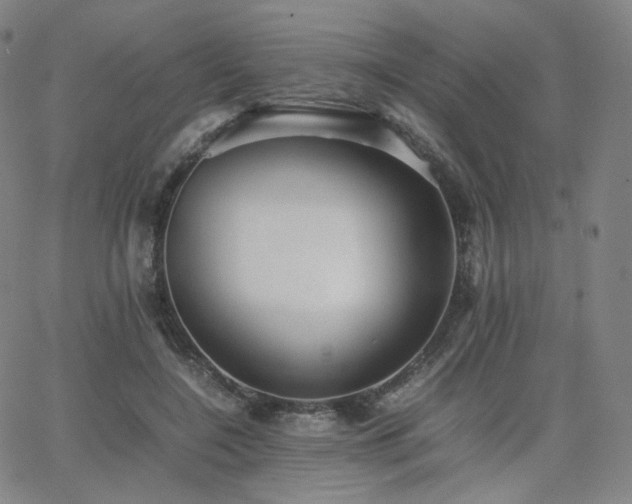 X0000063440548200601201157