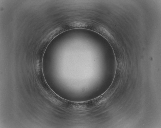 X0000063440549200601201157