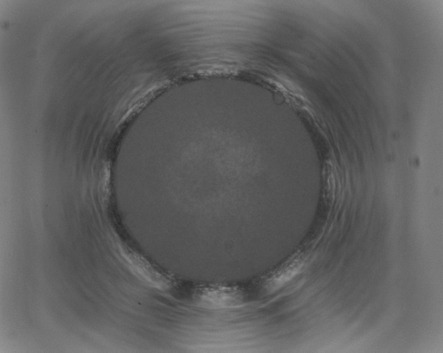 X0000063440550200601201157