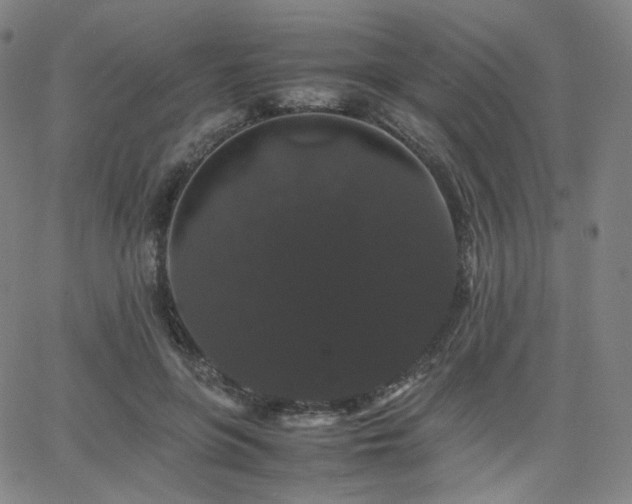 X0000063440551200601201157
