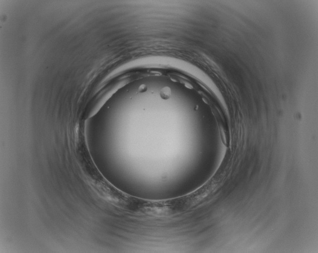 X0000063440552200601201157