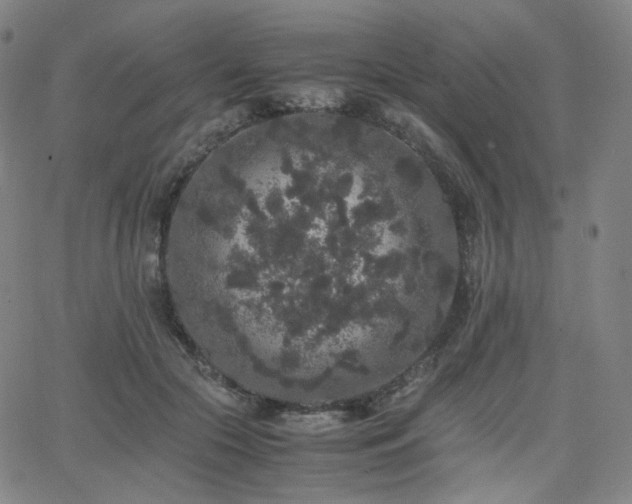 X0000063440553200601201157