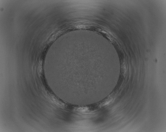 X0000063440554200601201157