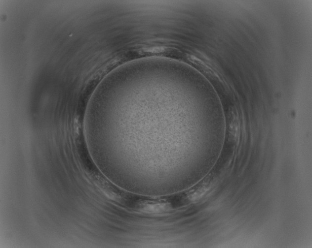 X0000063440555200601201157