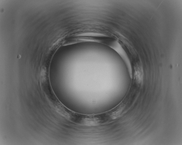 X0000063440556200601201157
