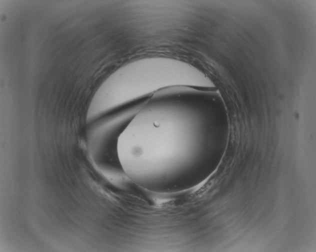 X0000063440558200601201157