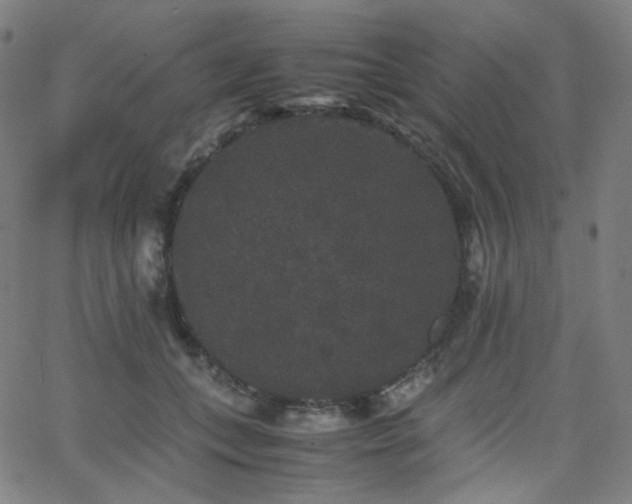 X0000063440559200601201157