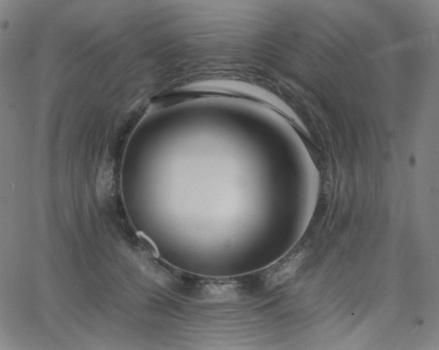 X0000063440560200601201157