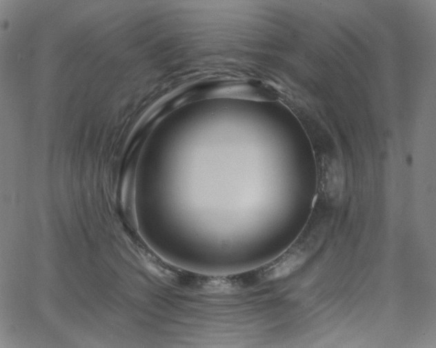 X0000063440562200601201158