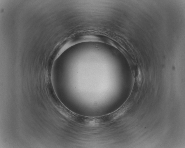X0000063440564200601201158