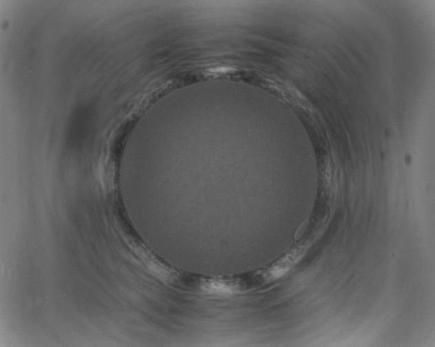 X0000063440565200601201158
